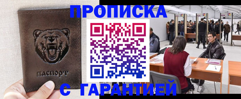 временная регистрация поиск в Ленинградской области