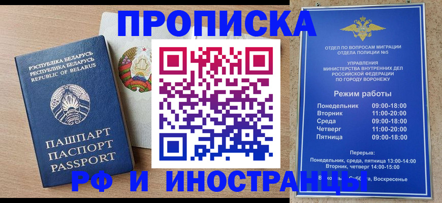 пропишу в квартире в Ленинградской области